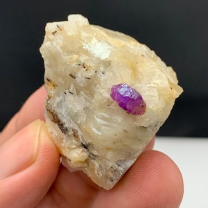 May include: A rough, beige-colored mineral specimen with a vibrant, purple-red crystal embedded within. The crystal is elongated and faceted, contrasting with the rougher texture of the host rock. The mineral is held in a hand.