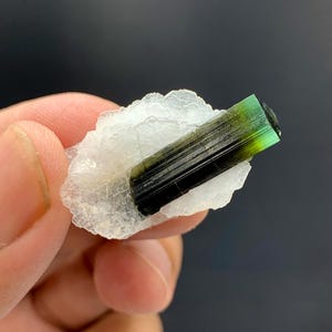 Puede incluir: Cristal de turmalina bicolor, con un cuerpo verde oscuro a negro y una punta verde vibrante. El cristal está sobre una matriz blanca y texturizada. El espécimen mineral se muestra sobre un fondo oscuro.