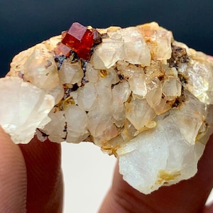 Puede incluir: Un espécimen mineral natural con un grupo de cristales de cuarzo transparente con un prominente cristal de granate rojo vibrante. Los cristales de cuarzo tienen una estructura cristalina, y el granate es de color rojo intenso.