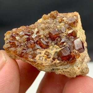 Puede incluir: Primer plano de un espécimen mineral con un grupo de cristales de granate de color marrón rojizo. Los cristales, con bordes afilados, se asientan sobre una matriz de roca beige. La muestra se sostiene en una mano, mostrando su belleza natural.