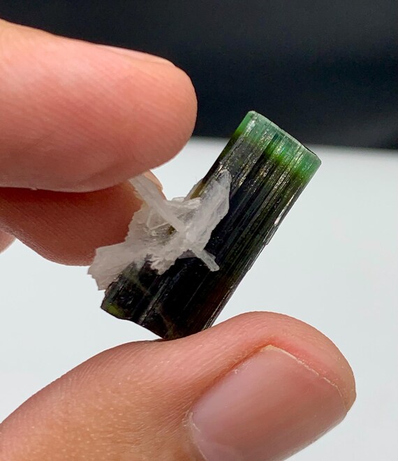 トルマリン バイカラー グリーン キャップ トルマリン ジェミー