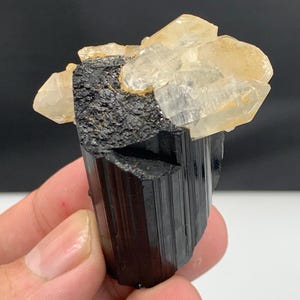 May include: A black tourmaline crystal with a cluster of clear, light-yellow calcite crystals. The tourmaline has a columnar structure, and the calcite crystals are translucent. The mineral specimen is held against a neutral background.