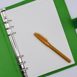 May include: A green leather bound notebook with a white lined page open and a brown pen lying on the page. The notebook has a metal ring binder.