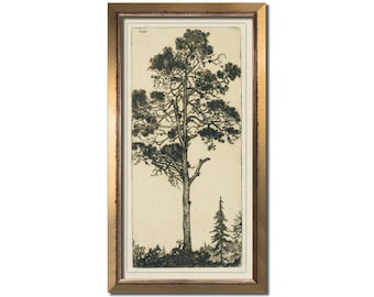 Vintage tree etching print, Antique landscape painting, Modern farmhouse, Long wall art, Evergreen pine, Neutral artwork, Muted nature decor