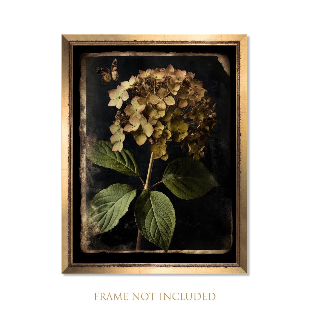 Dried Hydrangea Wall Art, Moody Botanical Print, Dark Floral Poster ...