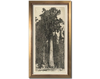 Vintage tree print, Sequoia tree art, Antique tall tree wall art, Printable tree art, Redwood art, Muted colors botanical, Sequoia artwork