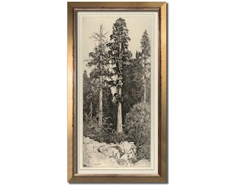 Vintage tree etching print, Antique landscape painting, Modern farmhouse, Long wall art, Sequoia grove, Neutral artwork, Muted nature decor