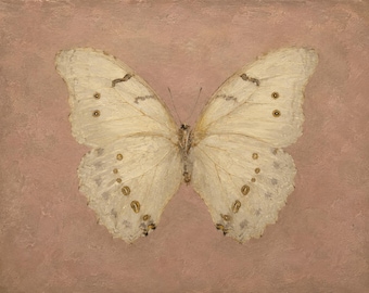 Cream Butterfly Art Print, Vintage Entomology Wall Art, Pink Cottagecore Insect Painting, Botanical Fine Art Print