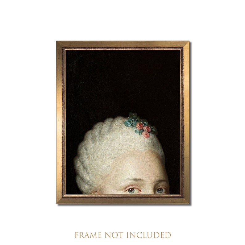 May include: A framed vintage portrait featuring a woman's face, with a focus on her eyes and powdered white wig adorned with small pink and green floral accents. The artwork is set against a dark background.