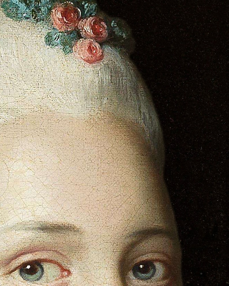 May include: Close-up of a classical painting featuring a person with light skin and blue eyes. A small floral crown of pink roses and green leaves adorns the person's white hair. The background is dark.