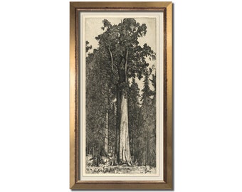 Vintage tree etching print, Antique landscape painting, Modern farmhouse, Long wall art, Giant sequoia, Redwood artwork, Muted nature decor