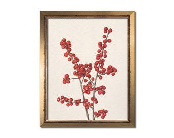 Red branch print, Rustic farmhouse wall art, Neutral country style, Vintage botanical, Muted beige antique art, Minimalist red holly artwork