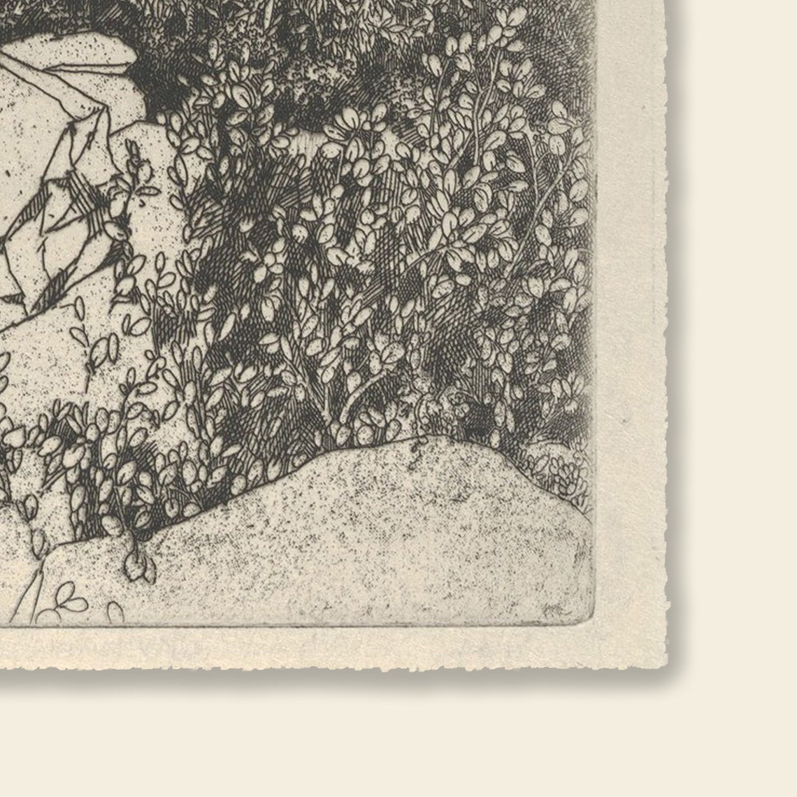 Tree Art Print Tall Tree Canvas Tree Tops Art Vintage Tree Etsy