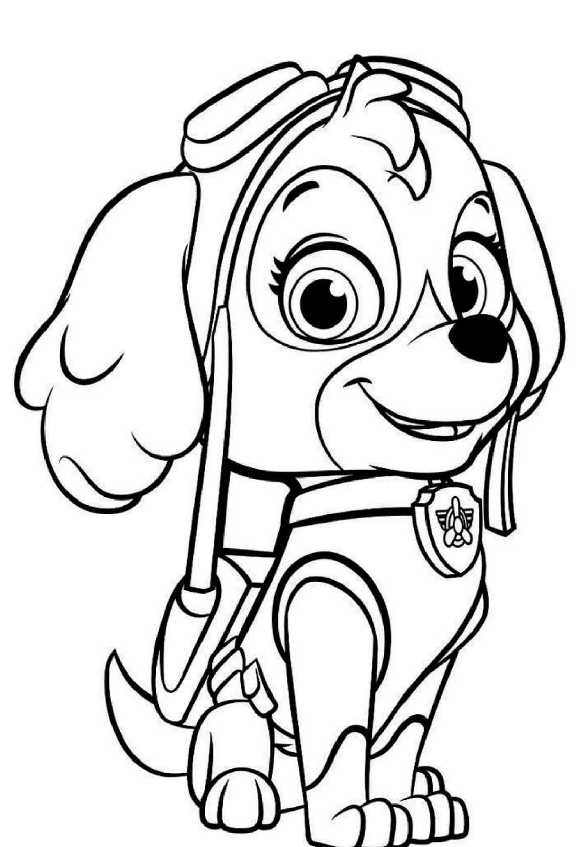 Paw Patrol Coloring Book - Etsy