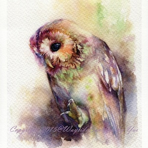STAMPA – Il gufo Acquerello dipinto 7,5 x 11", dipinto a mano, acquerello gufo, bosco, fauna selvatica, arredamento, arte murale, pittura vera, fantasy, arte gufo