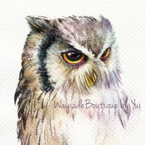 IMPRESIÓN – Búho de cara blanca Pintura de acuarela 7,5 x 11”