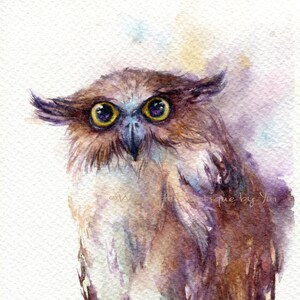 IMPRESIÓN – Pintura de acuarela de búho pez 7,5 x 11”