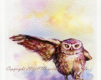 PRINT – The Owl Watercolor painting 7.5 x 11”