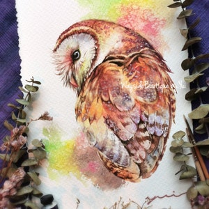 Búho - Pintura de acuarela ORIGINAL 7.5x11 pulgadas, pintada a mano por Yui Chatkamol, acuarela de búho, bosque, vida silvestre, decoración, arte de pared, bellas artes