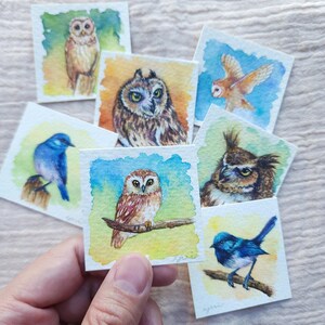 Può includere: Una collezione di sette dipinti quadrati ad acquerello raffiguranti vari uccelli, tra cui gufi e piccoli uccelli blu, ciascuno su uno sfondo vivace e colorato. I dipinti sono realizzati con pennellate dettagliate su fogli di carta bianchi.