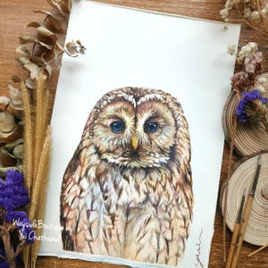 Owl - ORIGINAL watercolour painting 7.5x11&quot;,Hand-painted by Yui Chatkamol, bird watercolor,owl wall art, minimalist animal