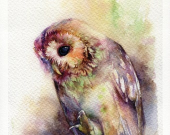 PRINT - The Owl watercolor painting 7.5 x 11"