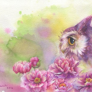 DRUK – Peonias n Owl Malarstwo akwarelowe 7,3 x 11”