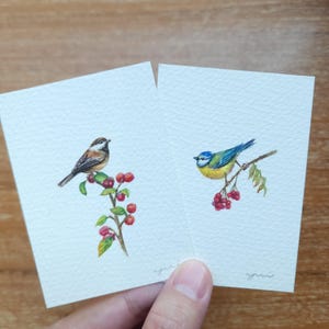 Oryginalny obraz akwarelowy ACEO przedstawiający ptaka z czerwonymi jagodami w miniaturze.