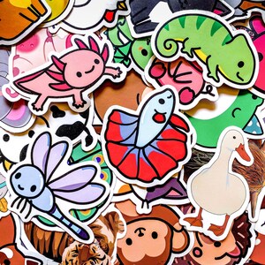 May include: A collection of colorful stickers featuring various cartoon animals. Includes a pink axolotl, a green chameleon, a red and blue betta fish, a light blue dragonfly, and a white duck. The stickers have a white border.