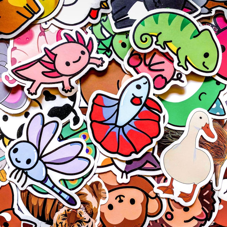May include: A collection of colorful stickers featuring various cartoon animals. Includes a pink axolotl, a green chameleon, a red and blue betta fish, a light blue dragonfly, and a white duck. The stickers have a white border.