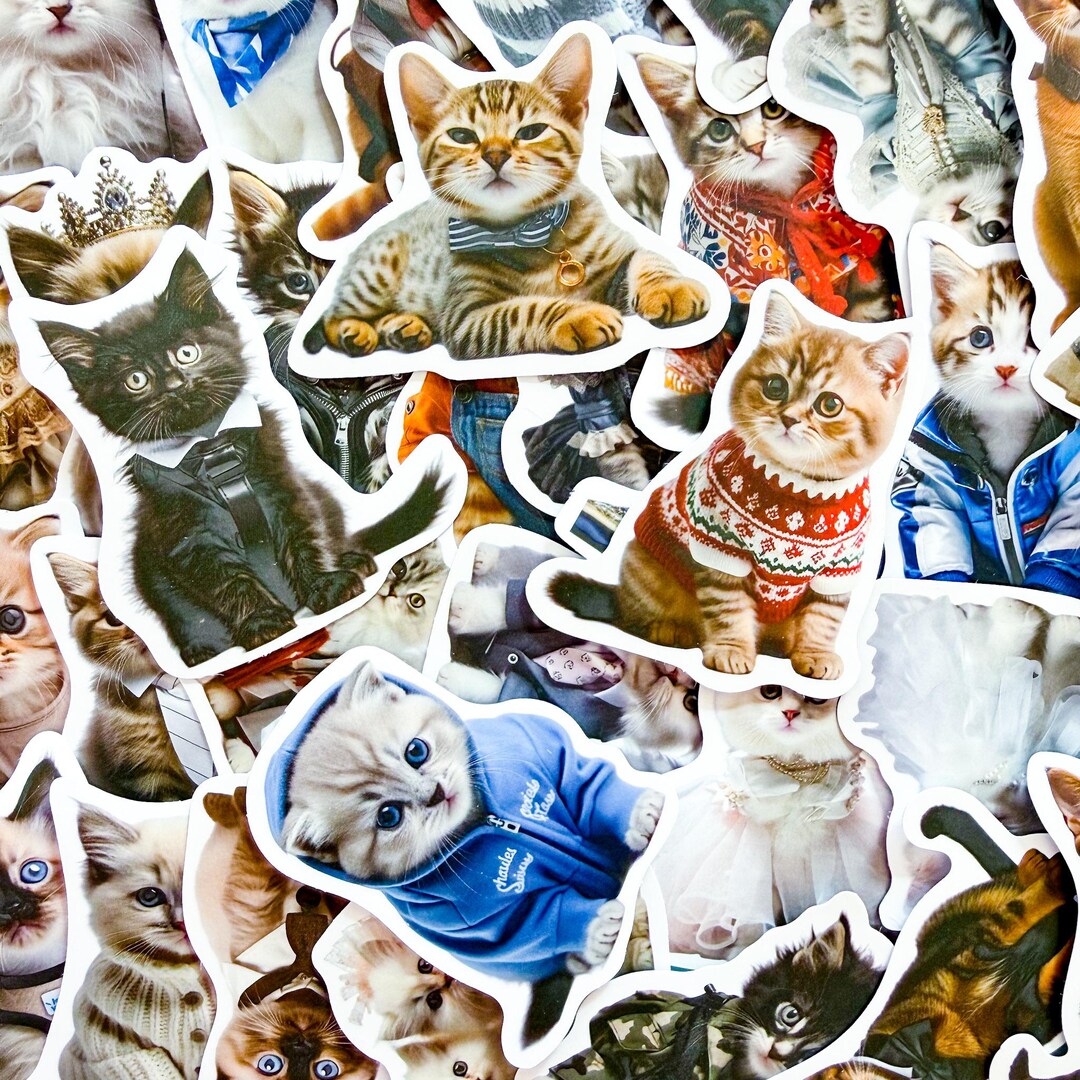 Pack of 50 Cat Costume Stickers, Funny Cat Photo Stickers, Outfit Cat ...