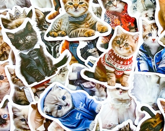 May include: A collection of cat stickers in various poses and outfits. Some cats wear bow ties, sweaters, and hoodies. The stickers feature a variety of cat breeds and colors, including tabby, calico, and black cats. The stickers are white-bordered and appear to be die-cut.