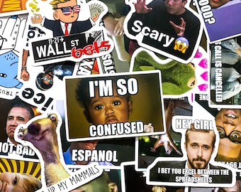 Paquete de 50 pegatinas de memes, pegatinas de reacciones divertidas, pegatinas de humor de internet, pegatinas con frases sarcásticas, pegatinas impermeables para adolescentes y adultos.