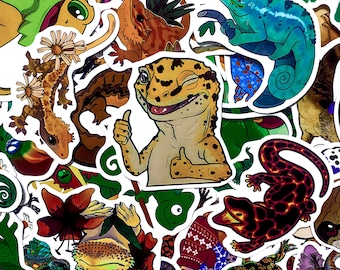 50 Stück Eidechsen-Aufkleber, Gecko Reptilien-Aufkleber, Bunte Iguana-Aufkleber, Wasserdichter Aufkleber für Reptilien-Fans, Tierliebhaber, Sammler