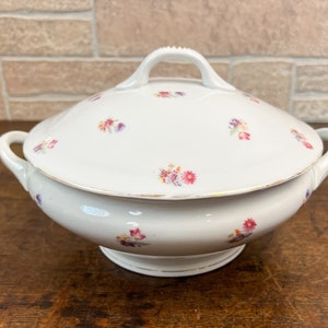 Antique English Covered Serving Tureen, Floral Transferware Pattern.