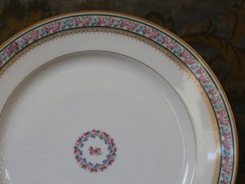 Vintage Limoges Dinner Plates Set of 10 by GDA Limoge Etsy