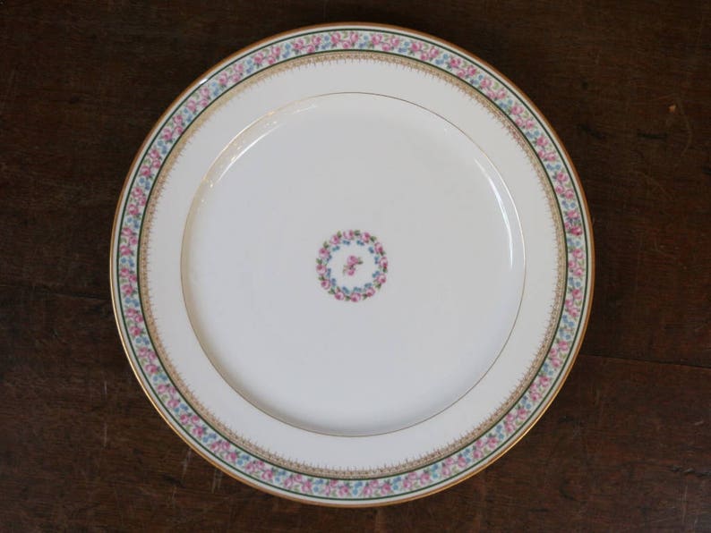 Vintage Limoges Dinner Plates Set of 10 by GDA Limoge Etsy