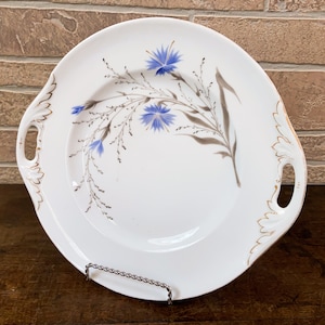 Antique Cake Plate, Bruder Schwalb Carlsbad Czech Republic