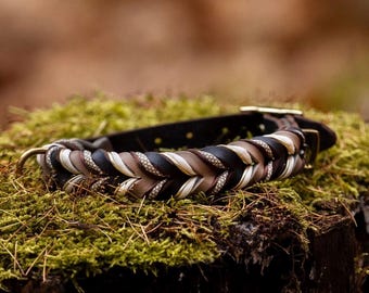 May include: Braided leather dog collar in shades of brown, black, and cream, with gold-tone hardware. The collar is displayed on a moss-covered surface, showcasing its intricate design and craftsmanship. A stylish accessory for pets.