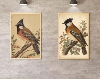 May include: Two framed vintage-style bird prints. One features a bird with a black crest, brown body, and red accents, perched on a branch with red flowers. The other print shows a bird with orange and brown plumage, also perched on a branch with green leaves.