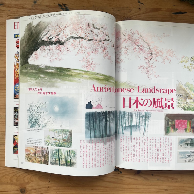 Studio Ghibli Art Book – Complete Archive, Poster Collection, Japanese Animation Guide image 4