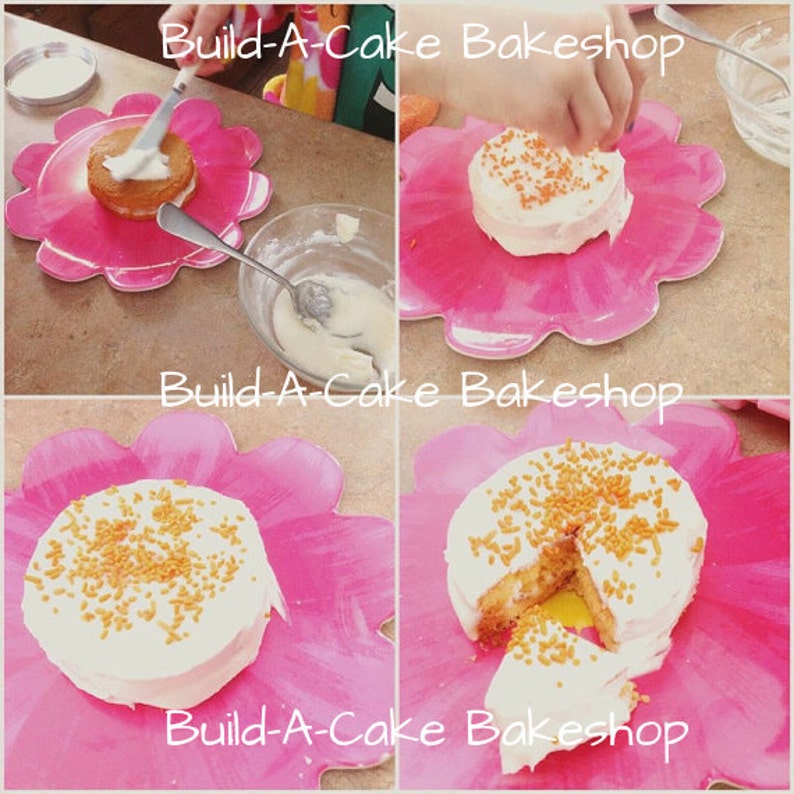 Easy Bake Oven BONUS 12 Homemade Cake & Frosting Mixes Plus Etsy