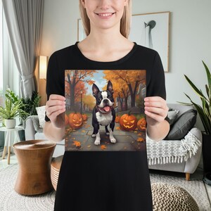 May include: A square print featuring a Boston Terrier dog standing on a brick path with carved pumpkins and autumn leaves. The background shows a street lined with trees in fall colors. The dog has a black and white coat and a red collar.