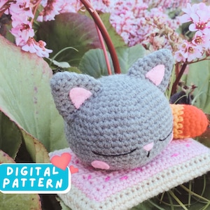 Nyan Cat Meme Crochet Pattern PDF, Amigurumi Crochet Cat, Cute Rainbow Cat Handmade DIY Step by Step Tutorial Pattern, Cat Animal Crochet