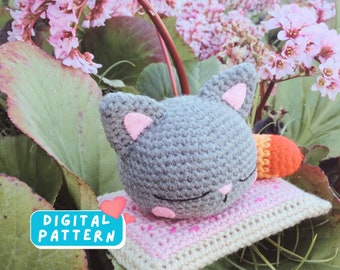 Nyan Cat Meme Crochet Pattern PDF, Amigurumi Crochet Cat, Cute Rainbow Cat Handmade DIY Step by Step Tutorial Pattern, Cat Animal Crochet