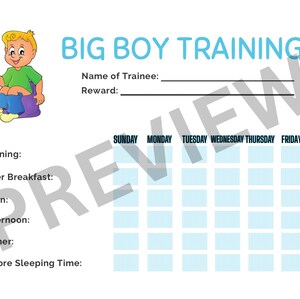 May include: A white chart with the text "BIG BOY TRAINING" in blue. It features a cartoon illustration of a boy on a potty. The chart includes sections for the trainee's name, reward, and a weekly schedule.