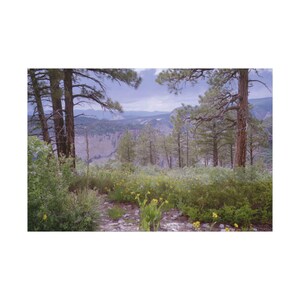 Matte Canvas, Stretched, 0.75" (Multi-Size)