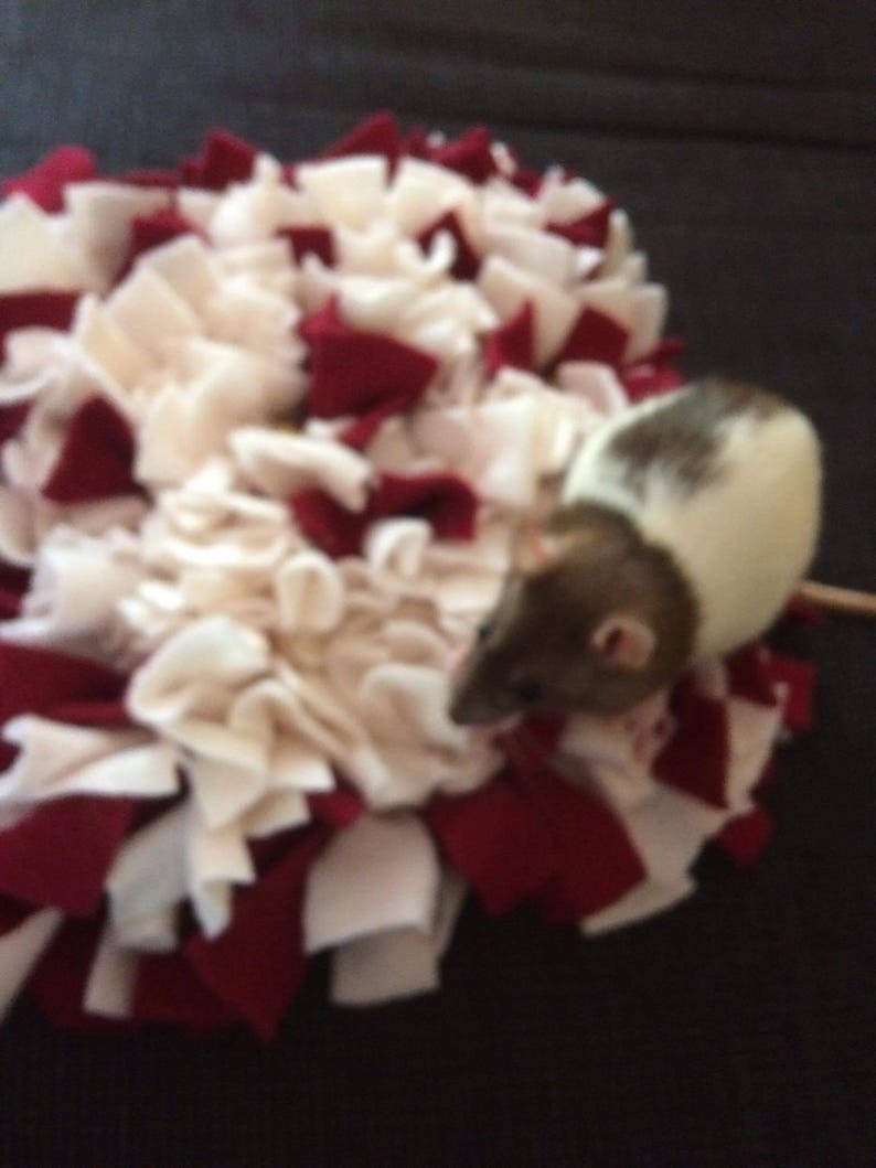 Rat Mat Rat Toy Rat Accessories Mouse Toy Rodent Toy Etsy
