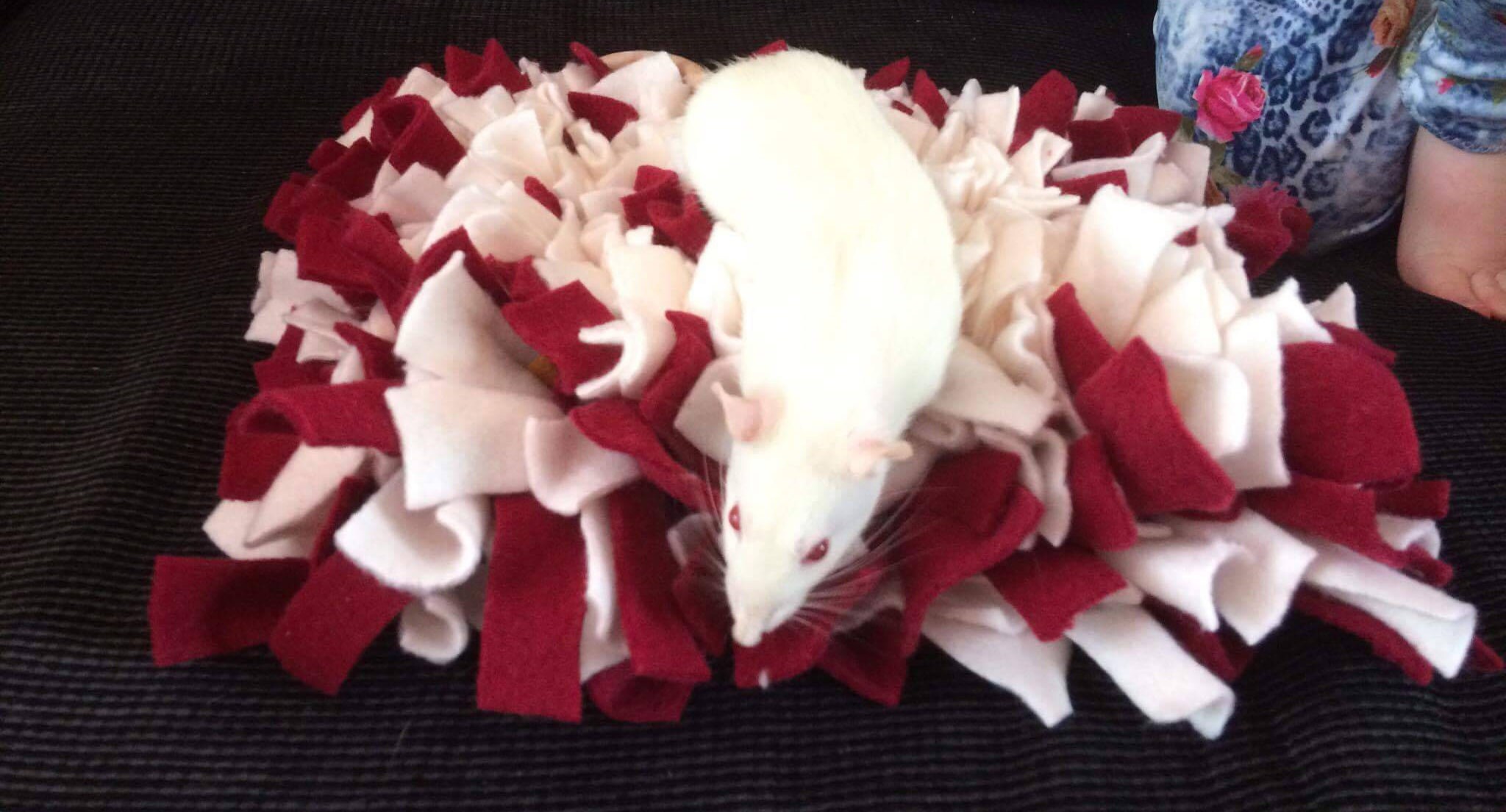 Rat Mat Rat Toy Rat Accessories Mouse Toy Rodent Toy Etsy