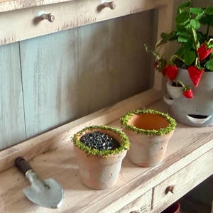 Vasos de jardinagem de terracota envelhecidos e cobertos de musgo